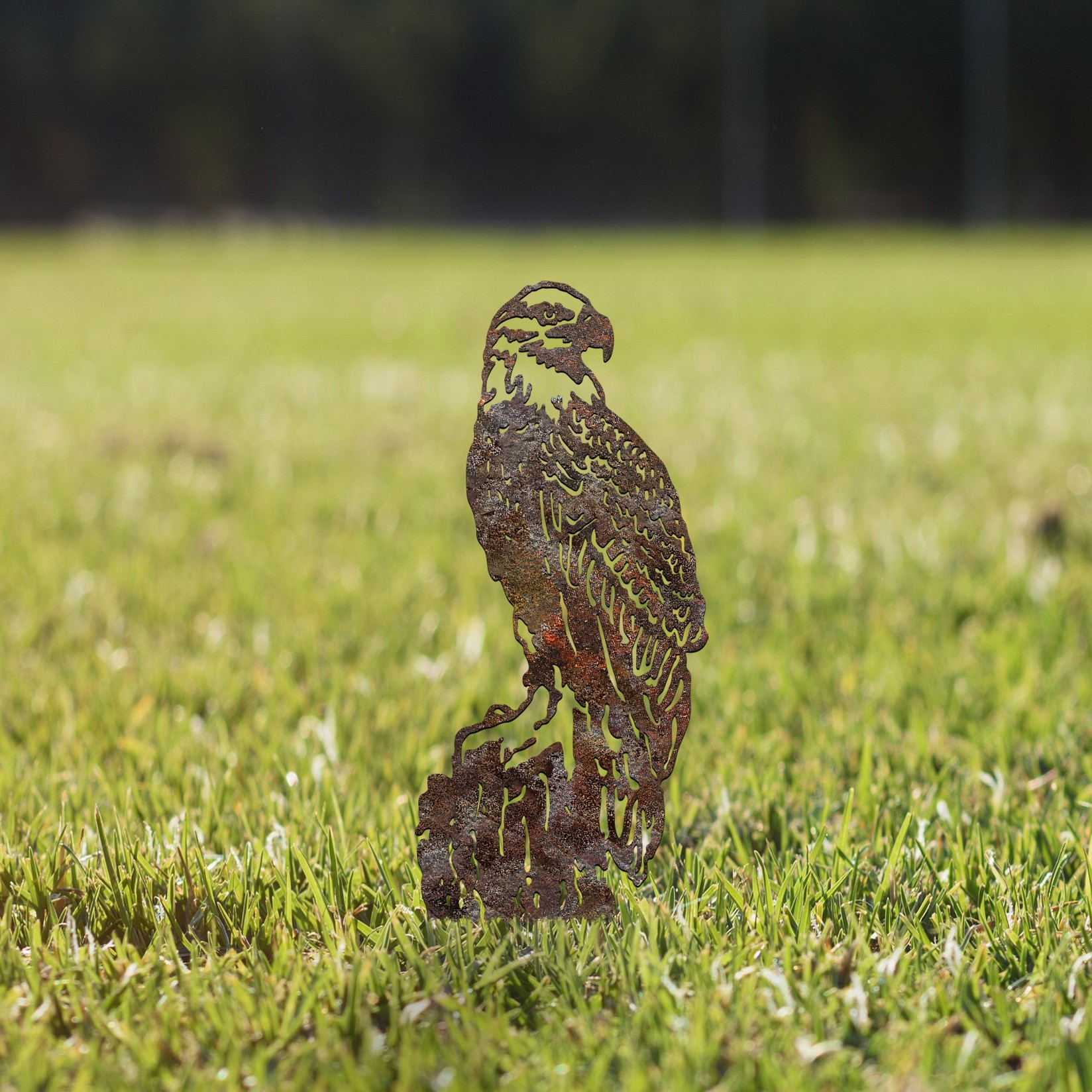 Декоративна фигура Шпион од Аберто Дизајн 01, 40x36 см, 1,5 мм