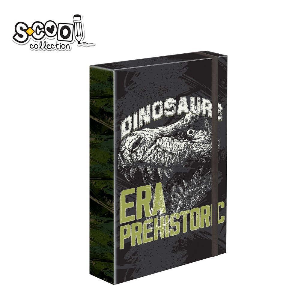 Scool Папка Картонска со Ластик 4См