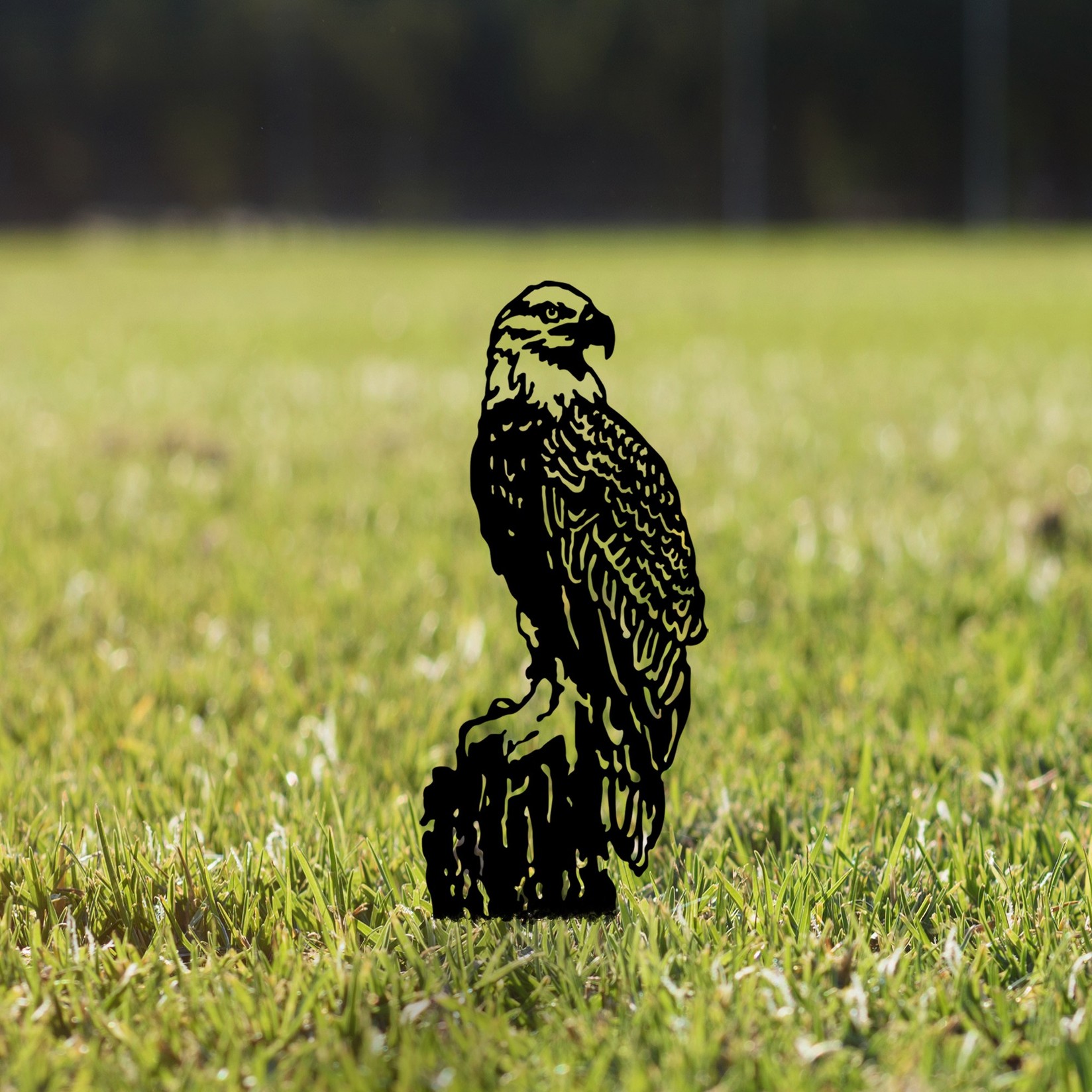 Декоративна фигура Шпион од Аберто Дизајн 01, 40x36 см, 1,5 мм