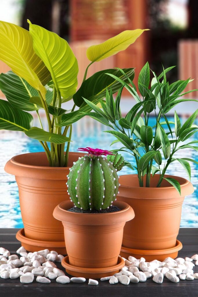 Комплет вазни Aberto Design ANTSX-3, 3 парчиња, кафеава