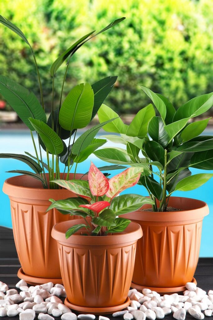 Комплет вазни Aberto Design URGSKS-3, 3 парчиња, кафеава