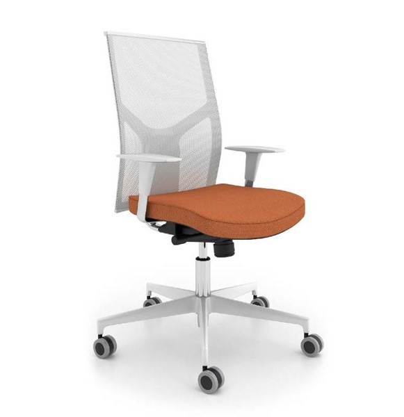 SBS Работна столица ИПЕРНЕТ МЕШ - Бела