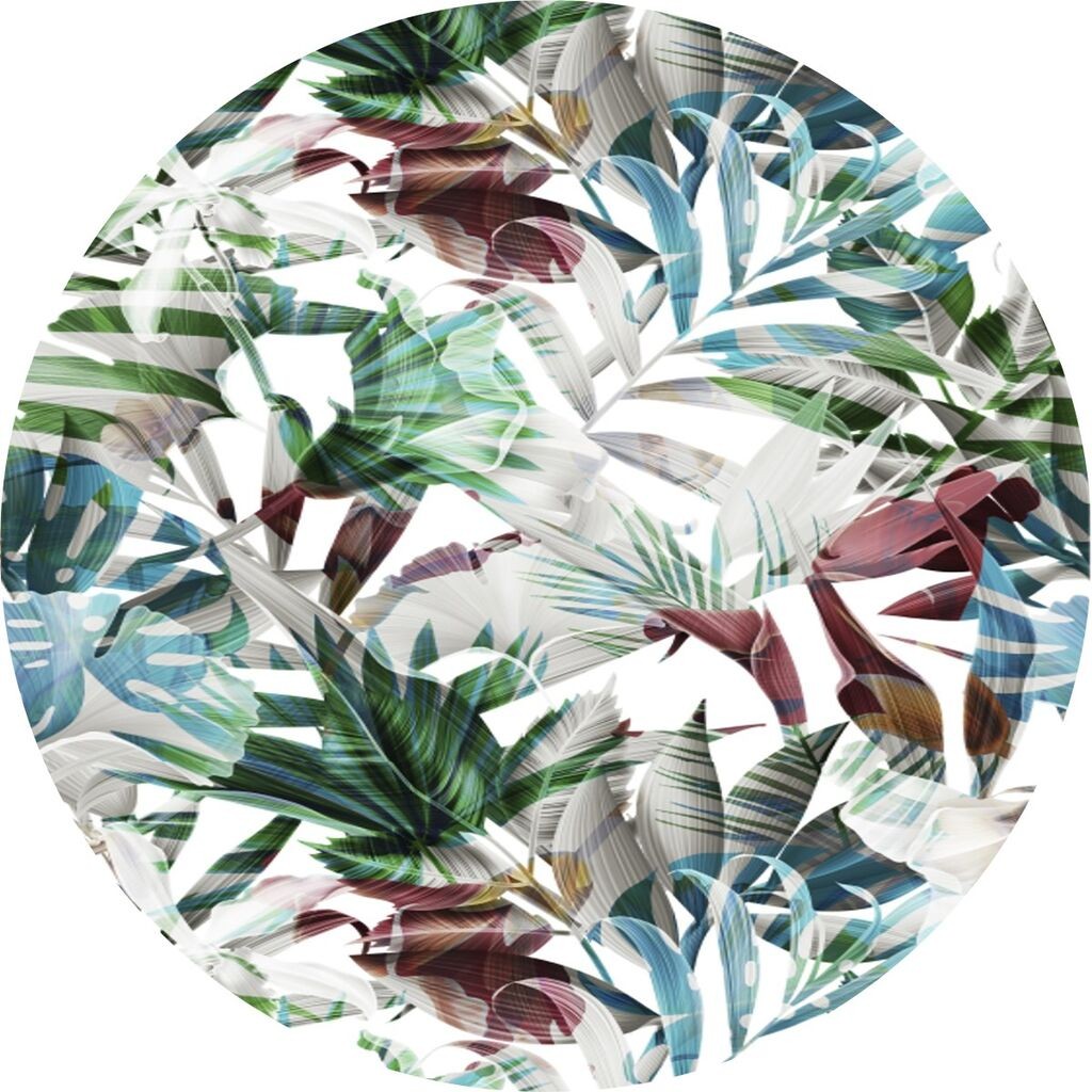 Conceptum Hypnose тепих CT-2145 Y, 80 cm, Шарена