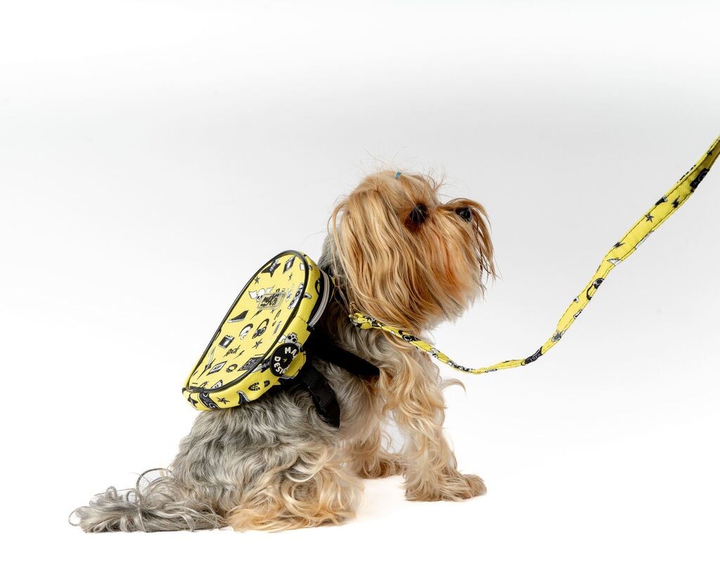 Ранец и поводник Paws & Whiskers за кучиња, жолт