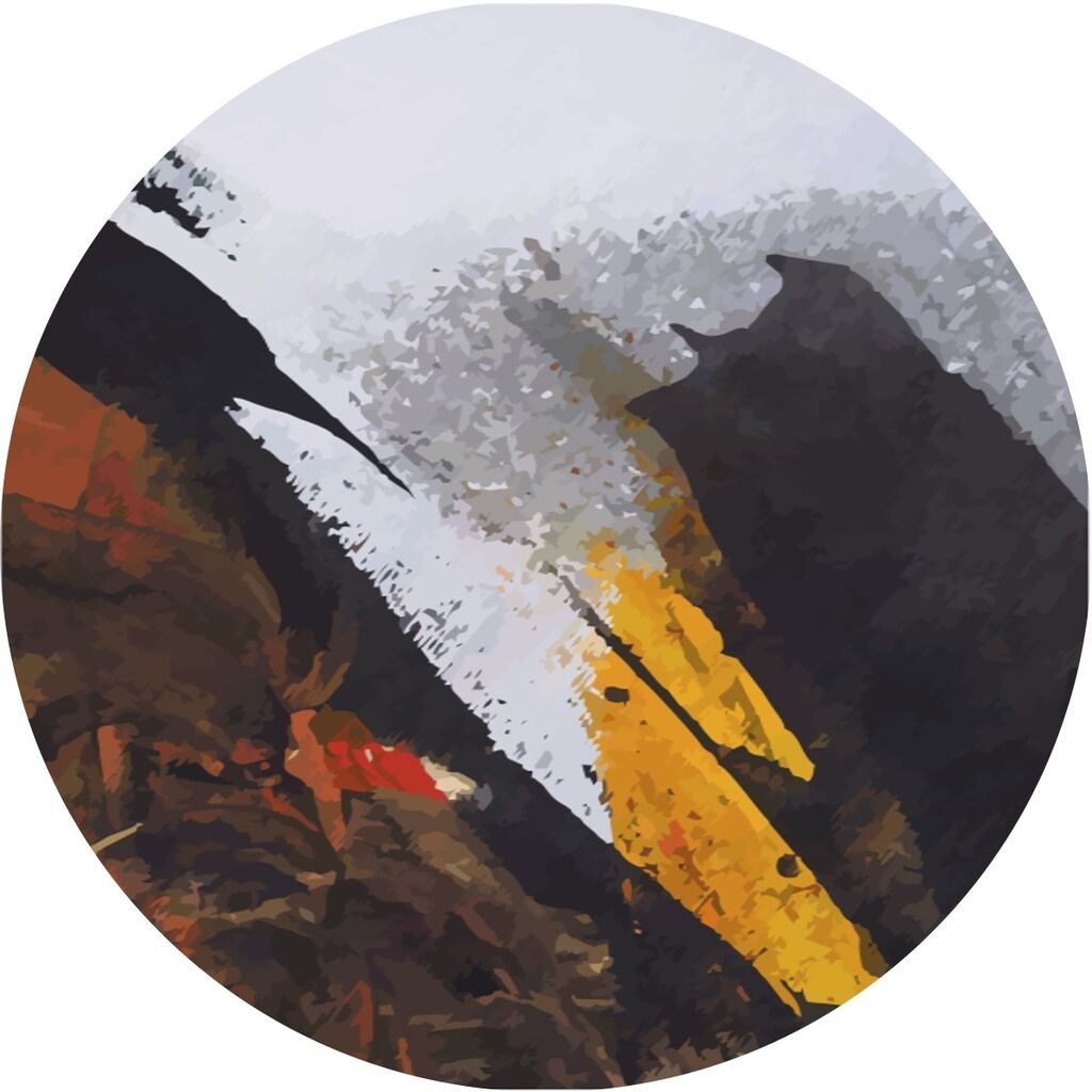 Conceptum Hypnose Carpet CT-2056 Y, 120 cm, Шарена