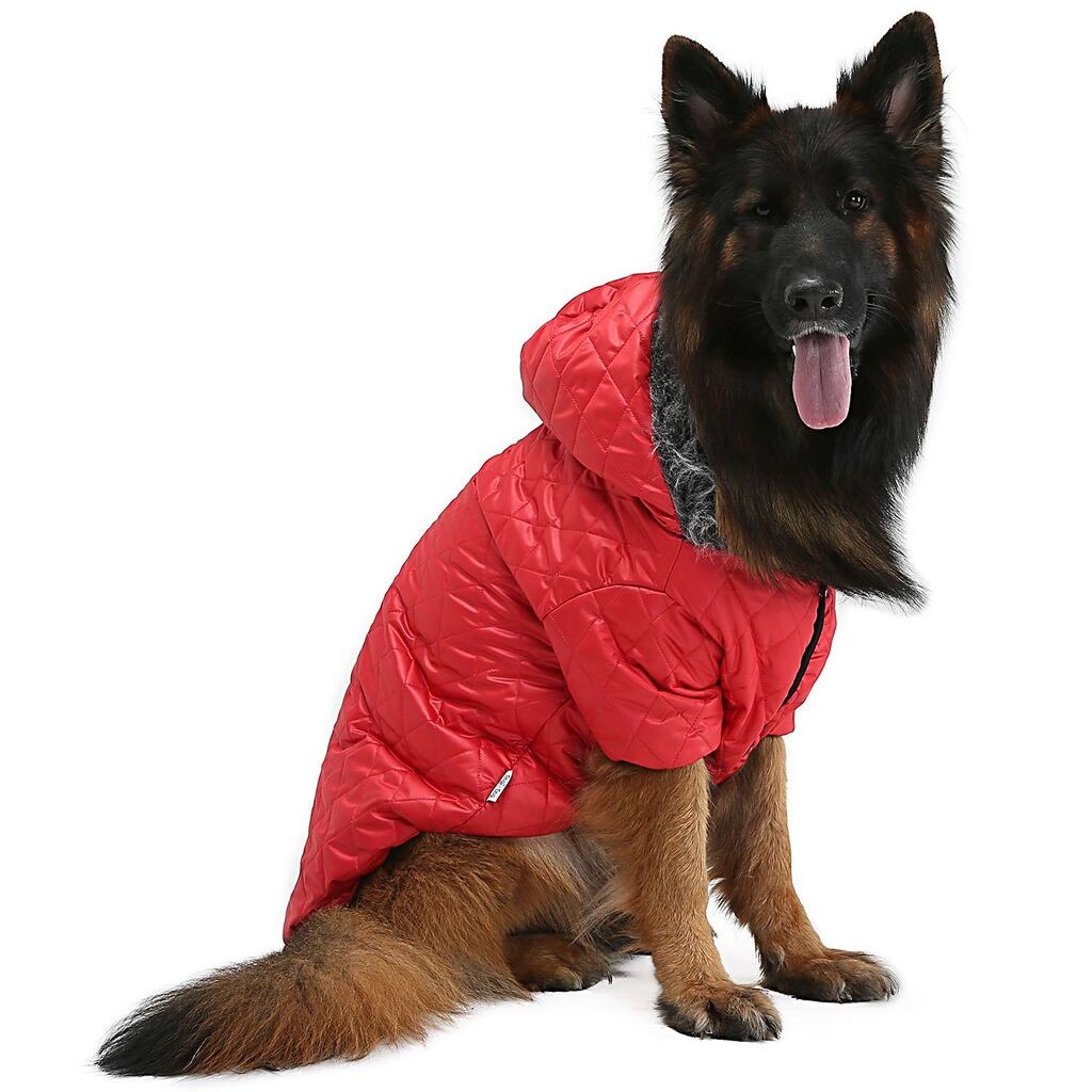 Костим за кучиња „Шепи и мустаќи", црвен