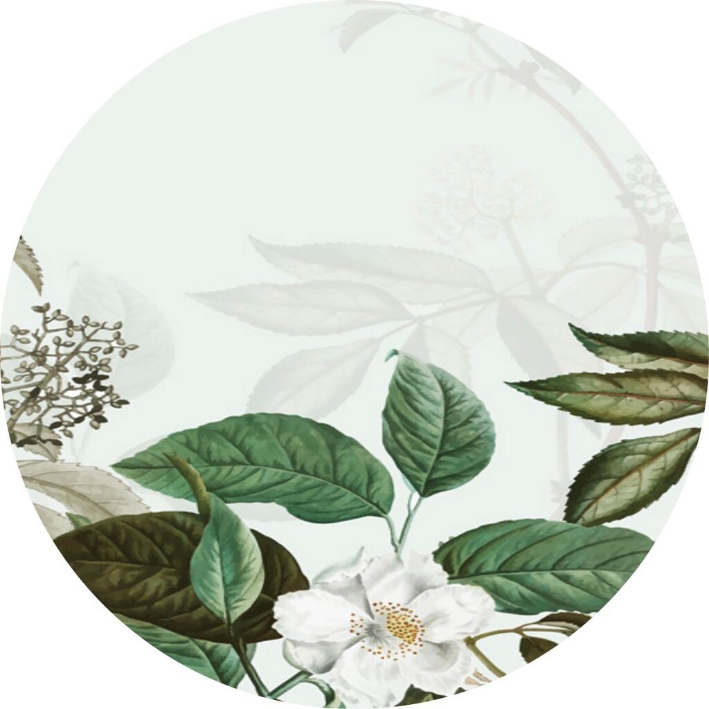 Conceptum Hypnose тепих CT-2144 Y, 80 cm, Шарена