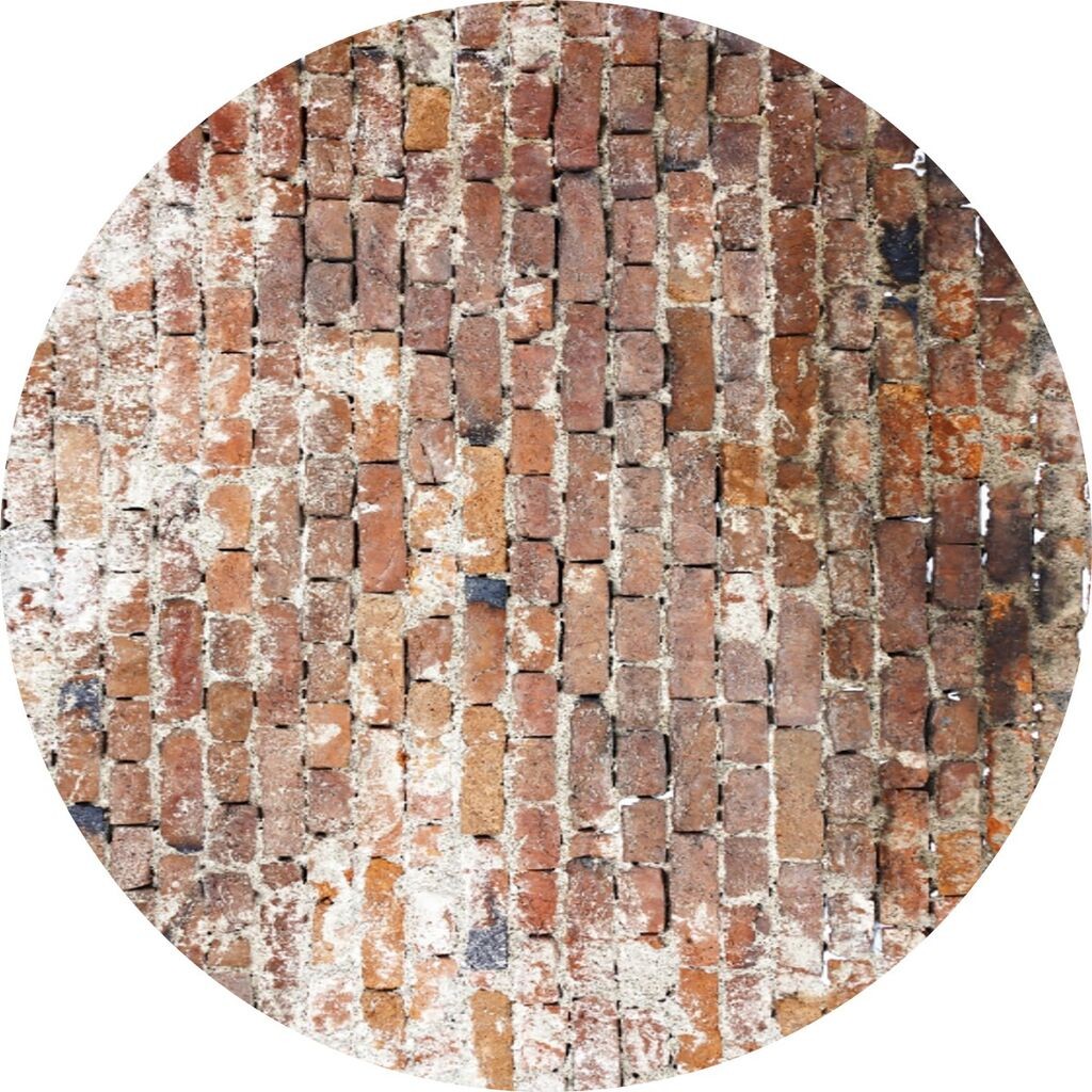 Conceptum Hypnose тепих CT-2073 Y, 80 cm, Шарена