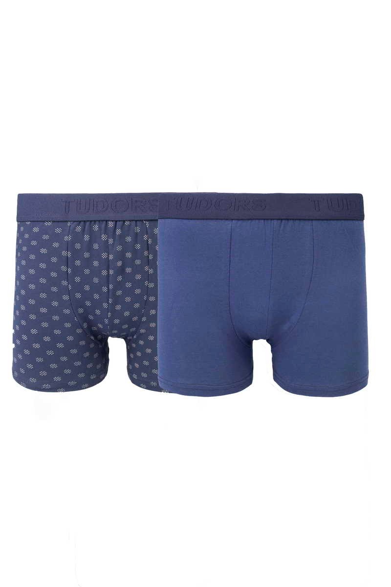 TUDORS Боксери