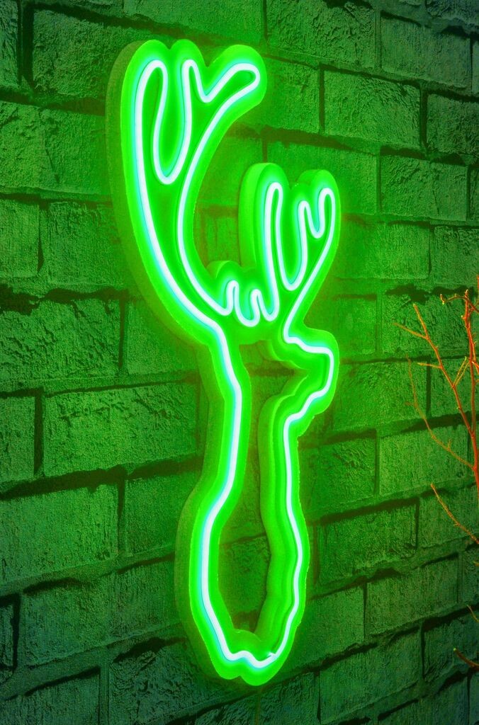 Wallity Декоративно LED осветлување Елен, 21x34x2 см, зелено