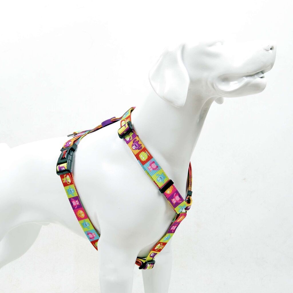 Шепи и мустаќи Am за кучиња Alliens, шарени