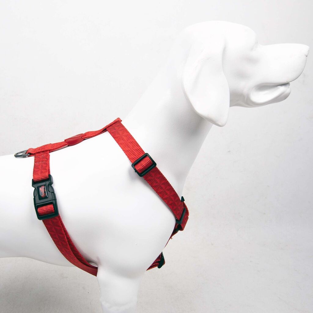 Шепи и мустаќи Ам за кучиња Призма, шарена