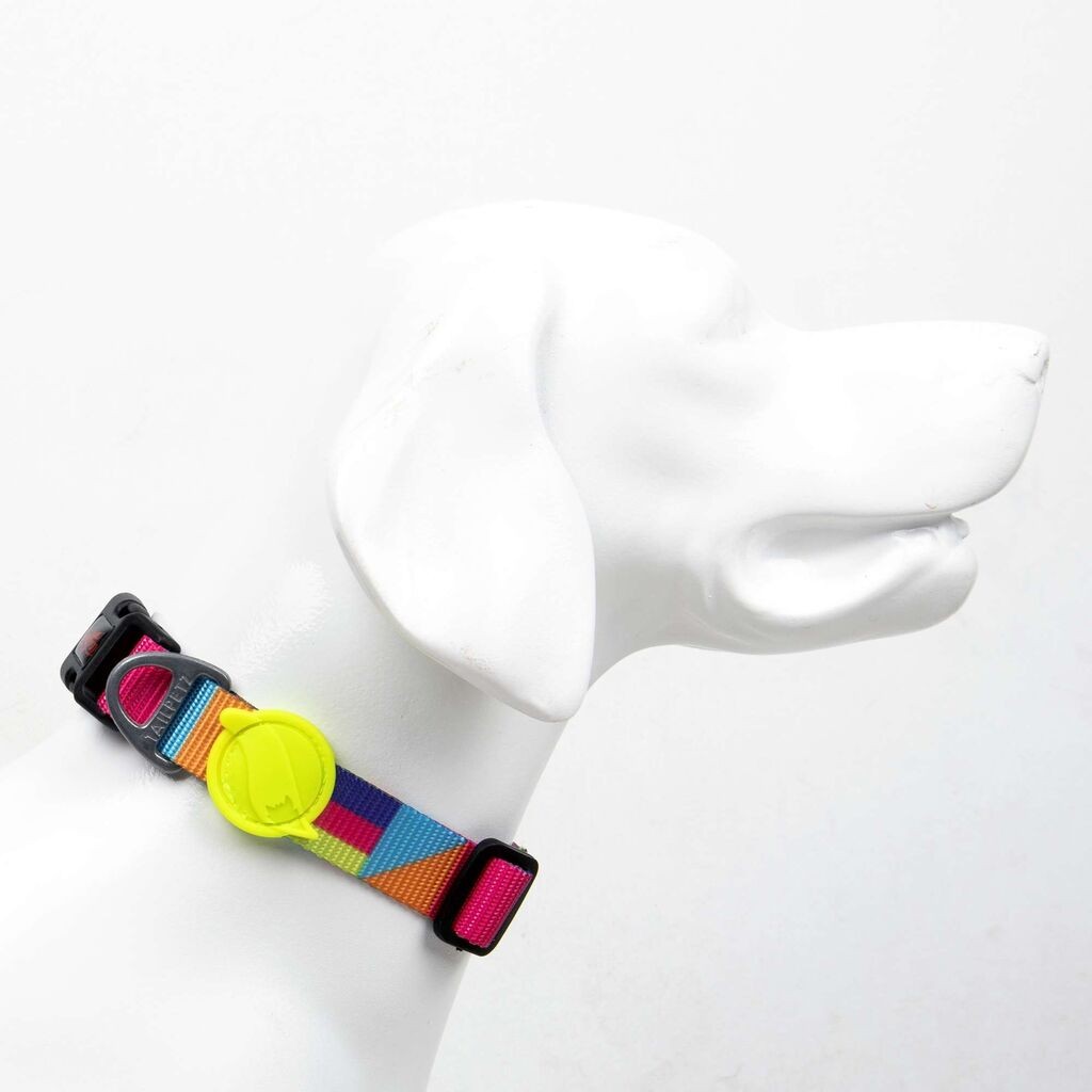 Огрлица за кучиња „Шепи и мустаќи", шарена