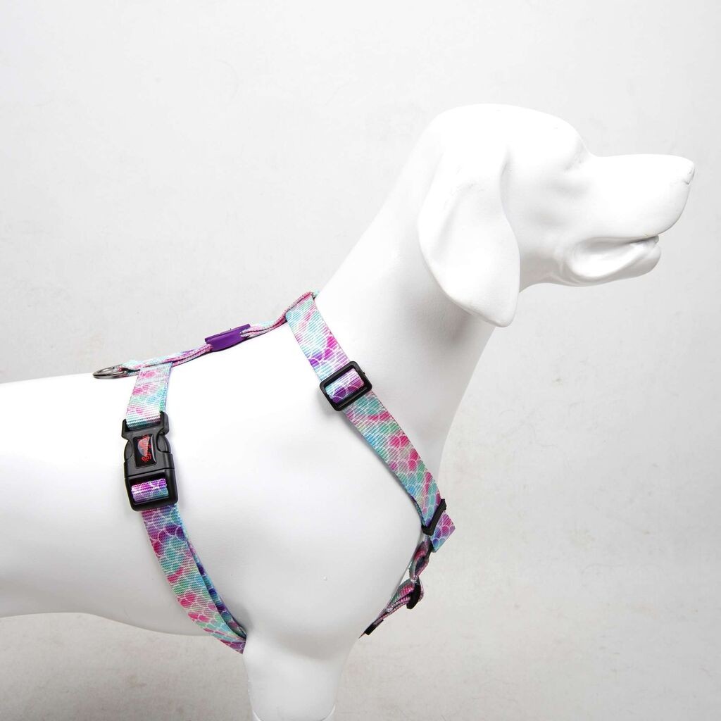 Шепи и мустаќи Am за кучиња Меурчиња, шарени