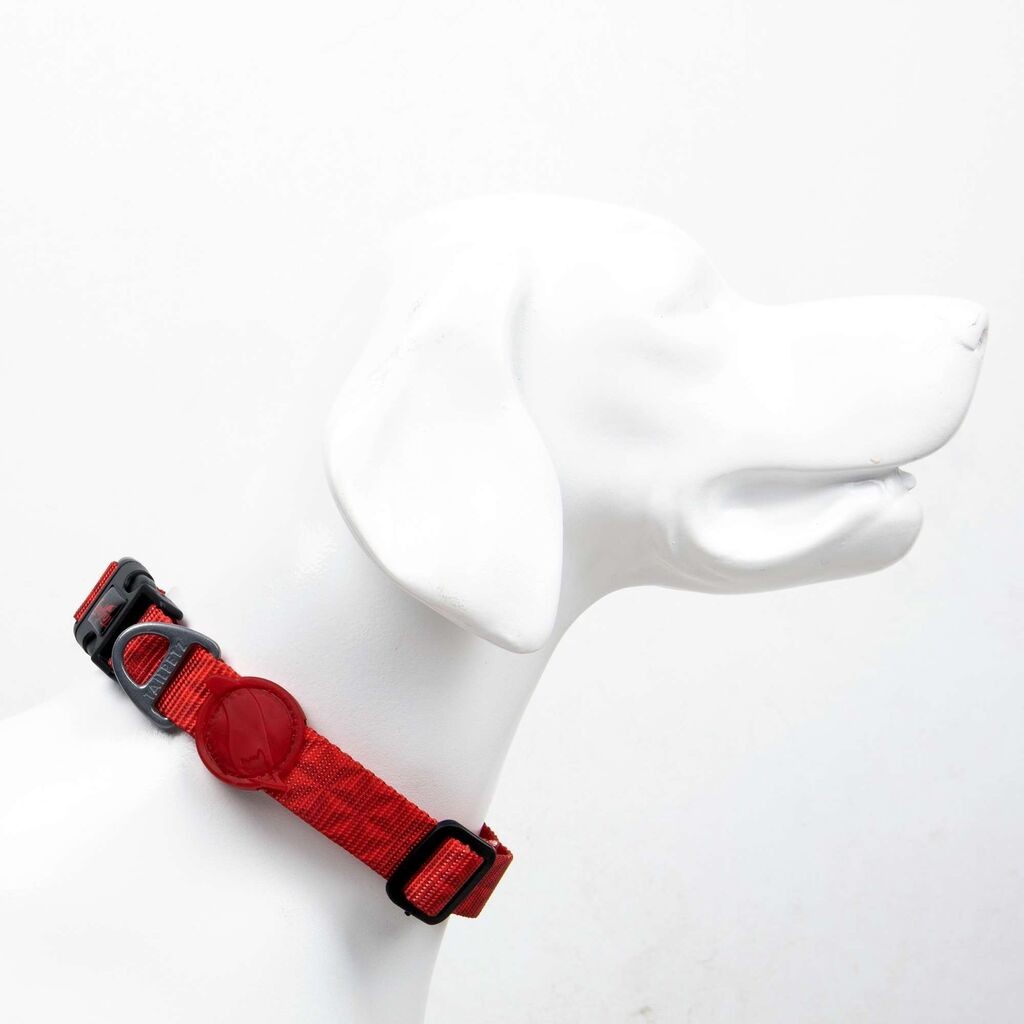 Шепи и мустаќи Огрлица за кучиња Призма, шарена