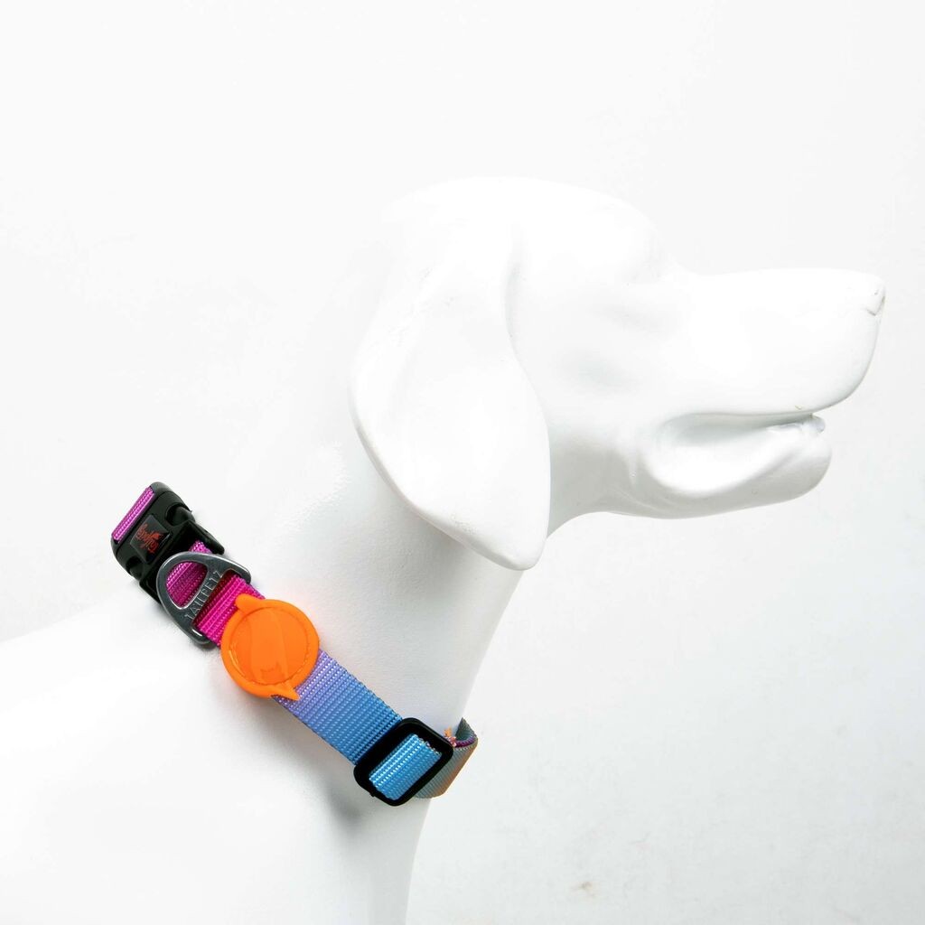 Огрлица за кучиња „Шепи и мустаќи" Pass, шарена