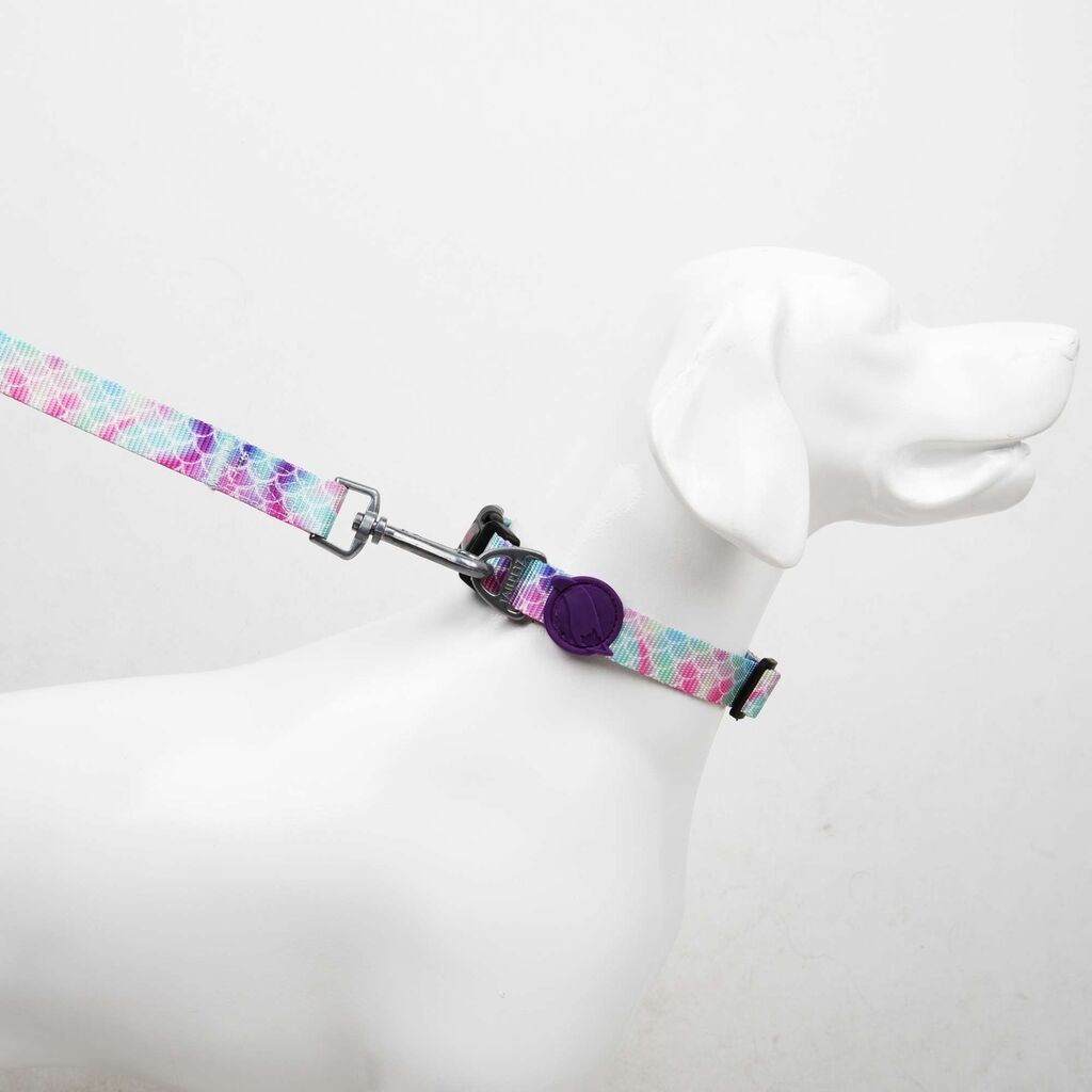 Мали, шарени поводници за кучиња „Шепи и мустаќи"