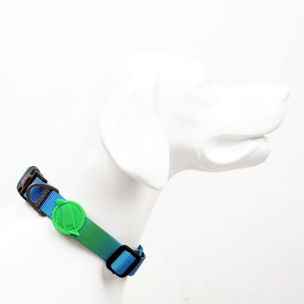 Огрлица за кучиња „Шепи и мустаќи" од Амазон, шарена