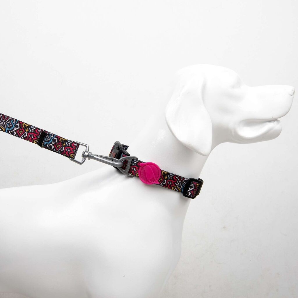 Графит за поводник за кучиња „Шепи и мустаќи" среден, шарен