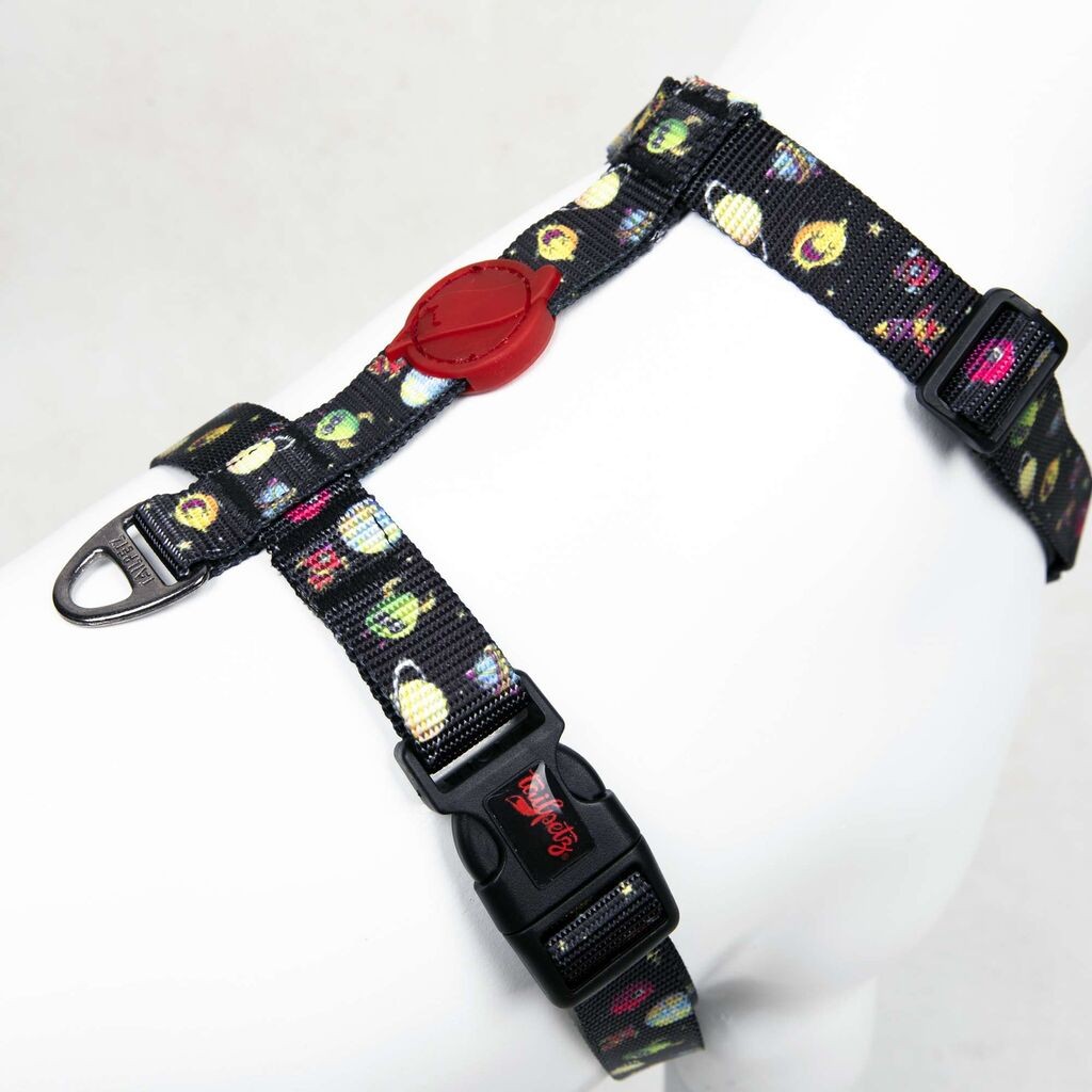 Шепи и мустаќи Am за кучиња вселенски, шарени