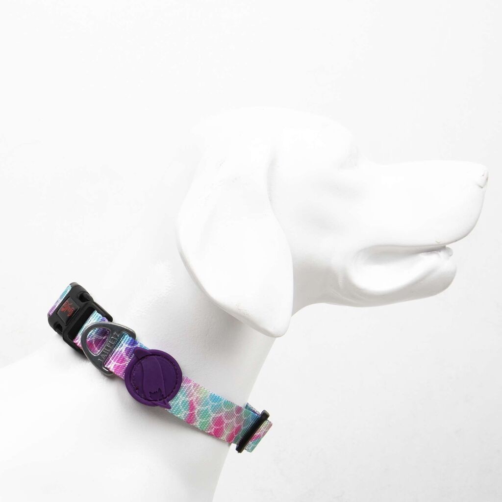 Јака за кучиња „Шепи и мустаќи", шарена