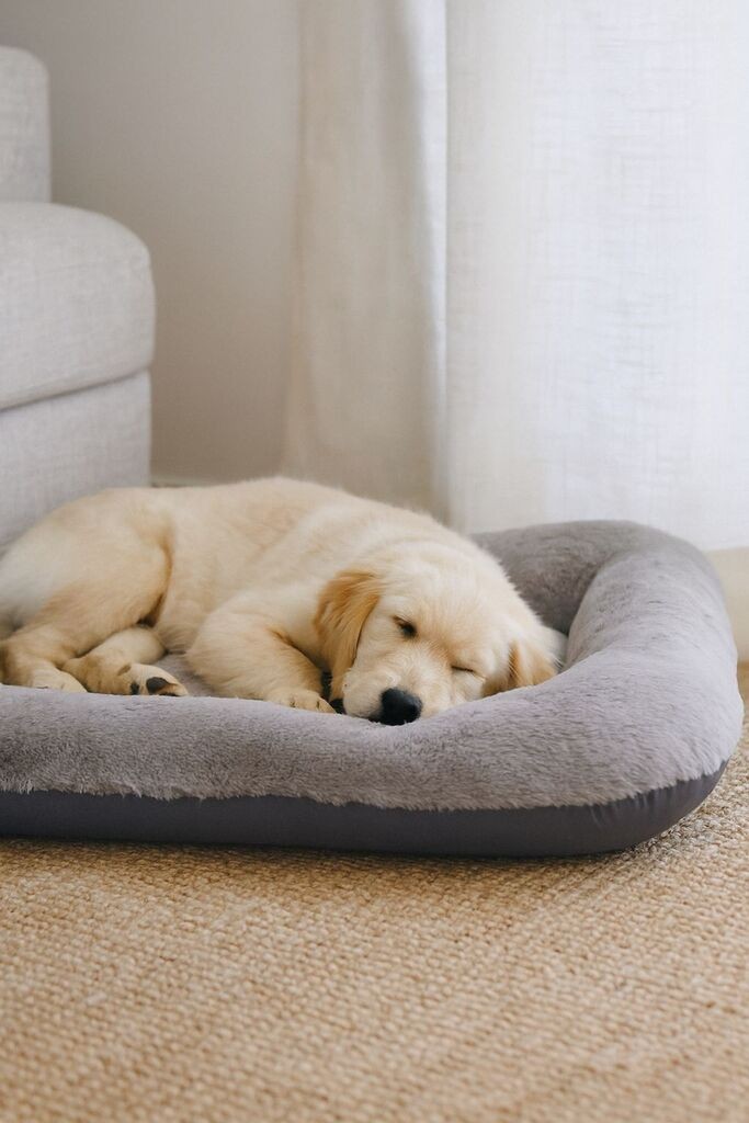 Кревет за миленичиња „Шепи и мустаќи" Сали Дог, 75x95x10 см, сив