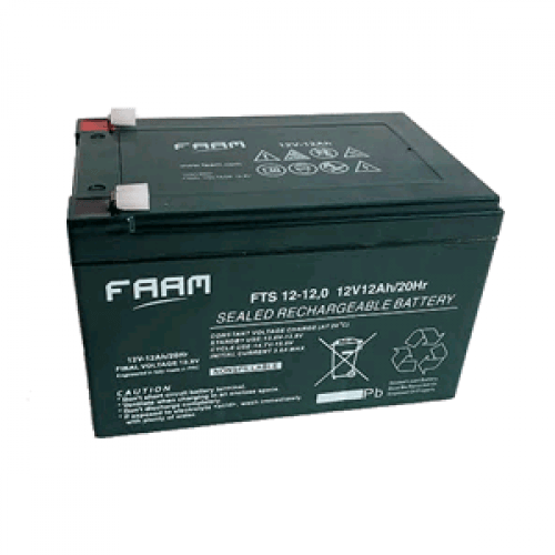 FAAM Italy Акумулатор BATTERY 12V 12 Ah