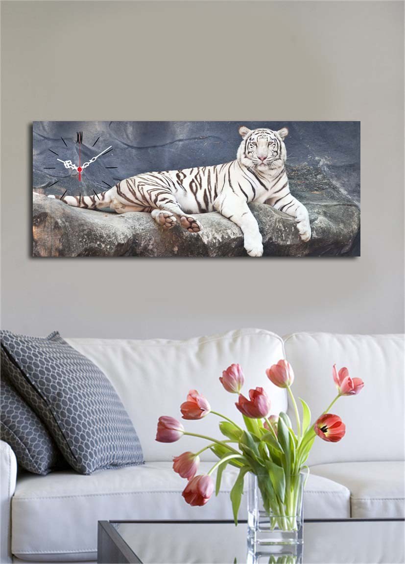 Wallity dzиден часовник 30x70cm во боја