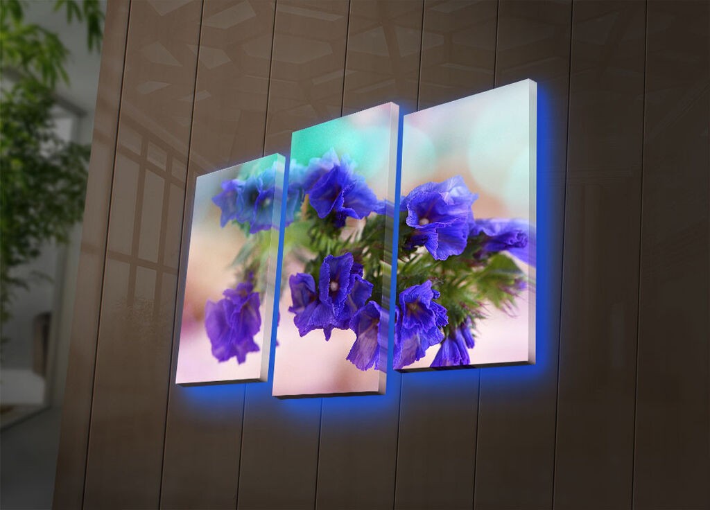 Wallity Сет Слики 5MDF4517, 5 Делови