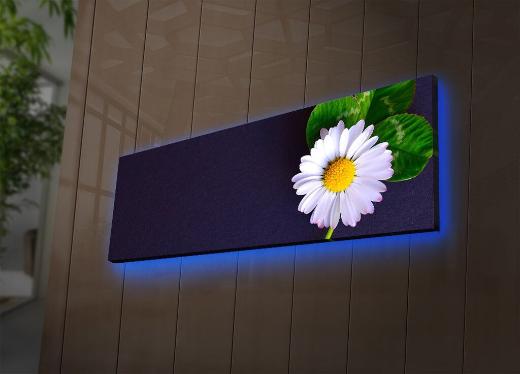 Wallity Слика со LED Осветлување 4570DACTBURN-010, 45x70 cm