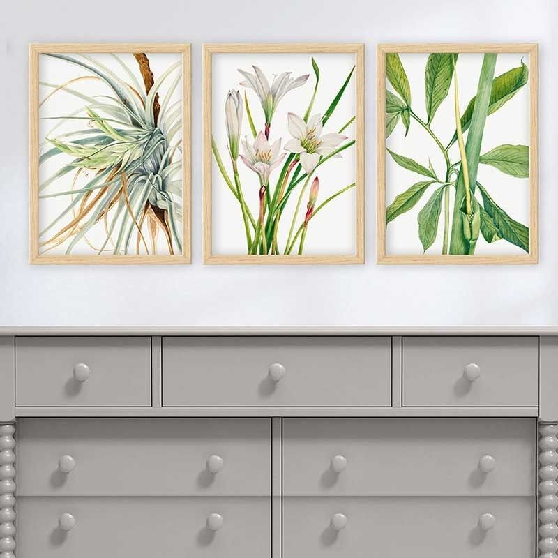 Wallity Сет Слики 5ABSMDF-79, 5 Делови