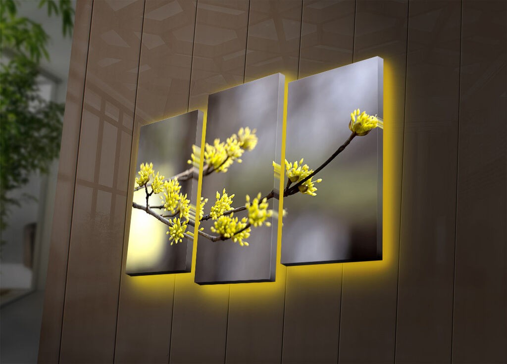 Wallity Сет Слики 5MDF4516, 5 Делови