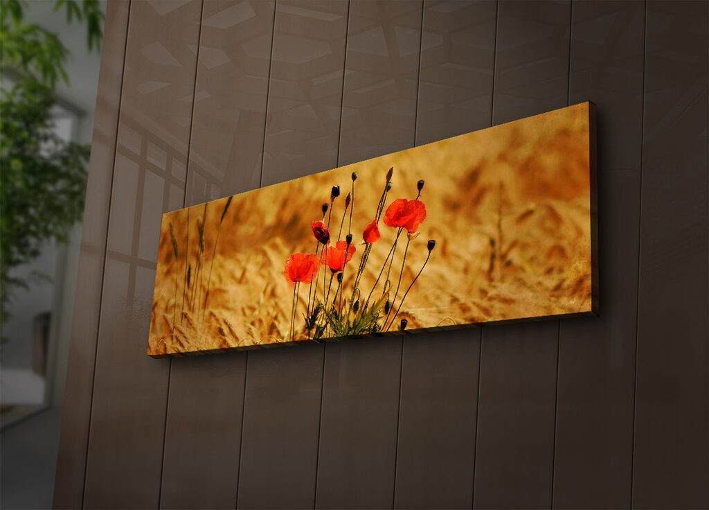 Wallity Слика со LED Осветлување 4570DHDACT-072, 45x70 cm