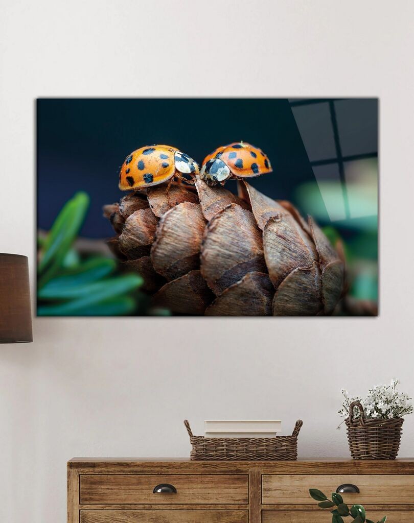 Wallity Сет Слики 3MDF-064, 3 Дела