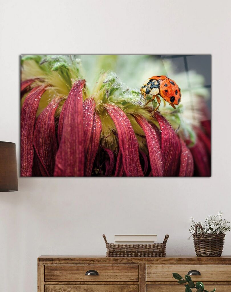 Wallity Сет Слики 3MDF-061, 3 Дела