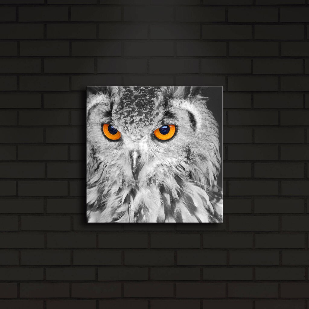 Wallity Слика 221JRS1145, 70x110 cm