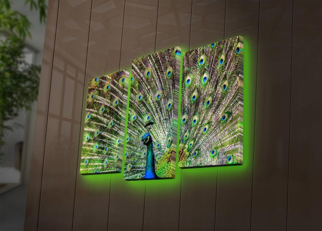 Wallity Сет Слики 5MAPMDF-09, 5 Делови