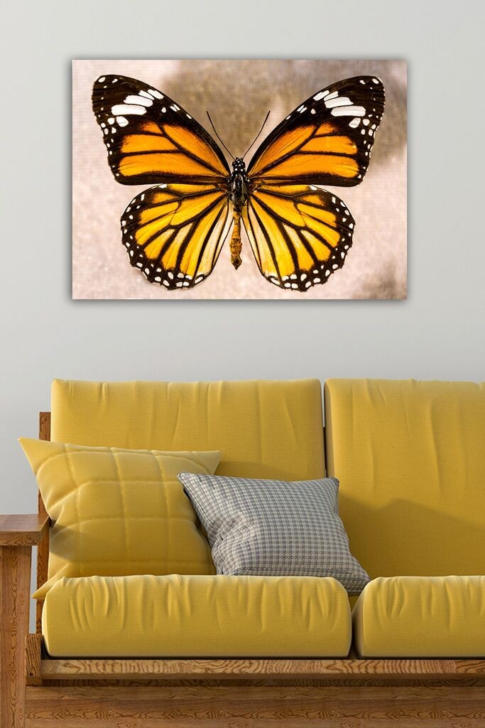 Wallity Сет Слики со LED Осветлување 3PATIACT-13, 3 Дела