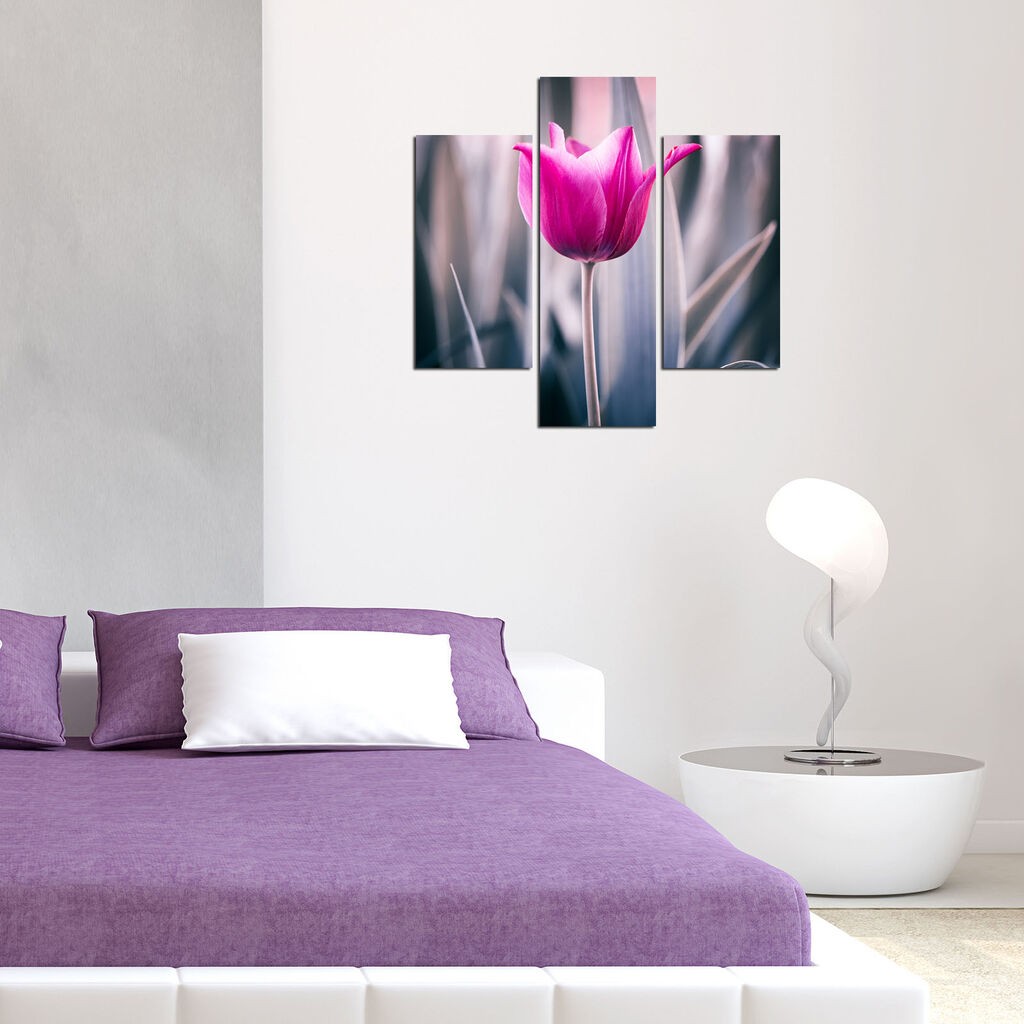 Wallity Сет Слики 5ABSMDF-22, 5 Делови