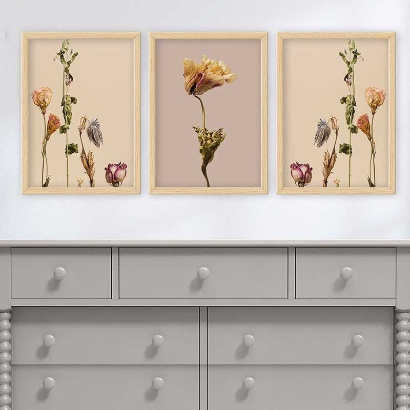 Wallity Сет Слики 5ABSMDF-96, 5 Делови