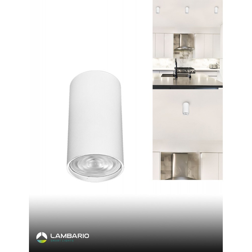 LAMBARIO Плафонска светилка 1xgu10 max50w бела h-100mm
