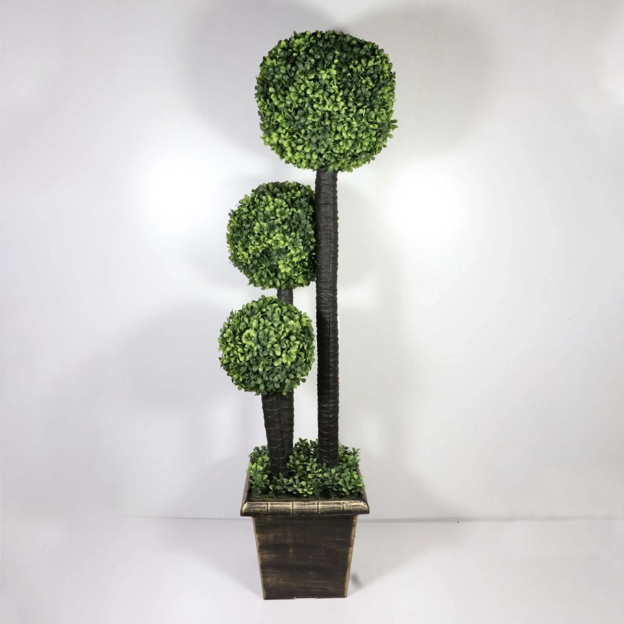 Украсно Декоративно Растение