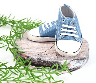 Патичиња Сини