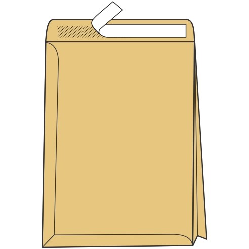 Плик со фалта 50мм Б4 250*353 105947