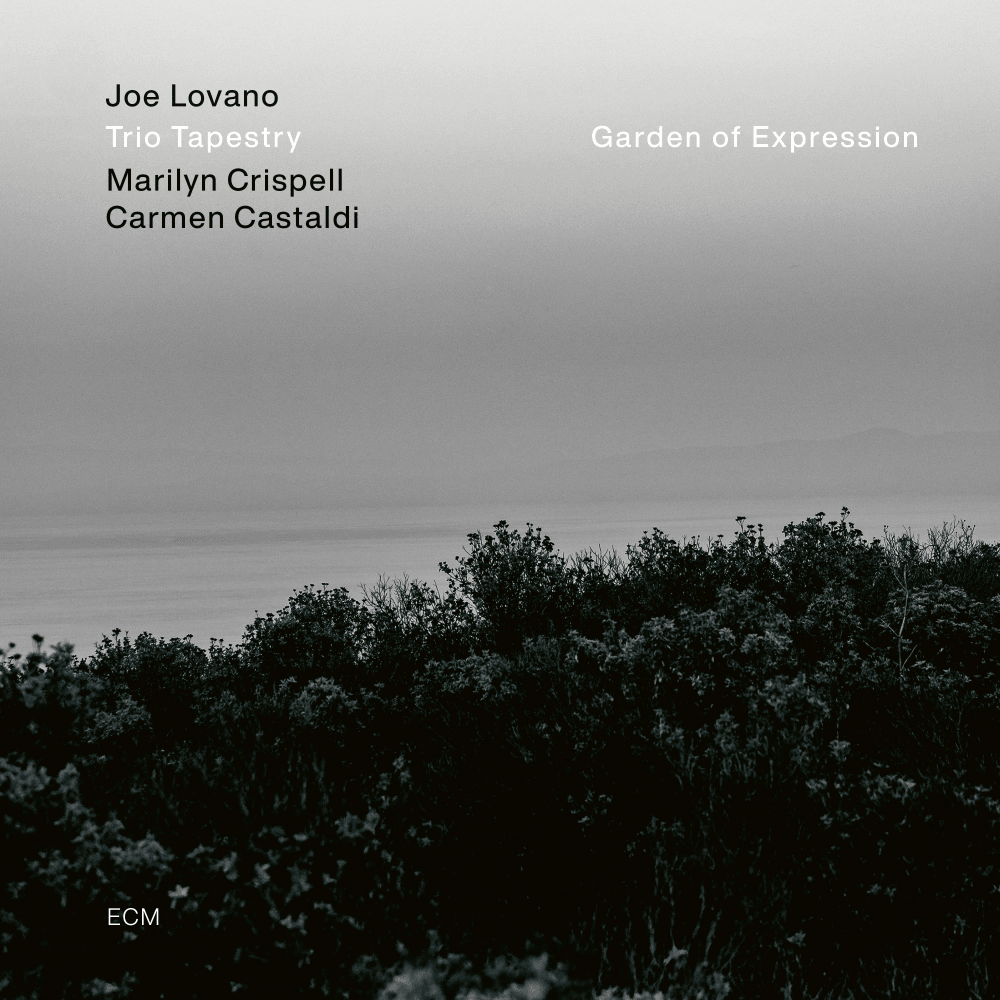 ECM Плоча Joe Lovano Trio Tapestry – Garden of Expression
