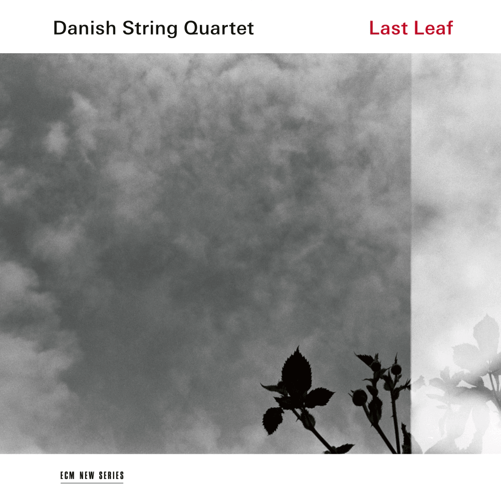 ECM Плоча Danish String Quartet – Last Leaf