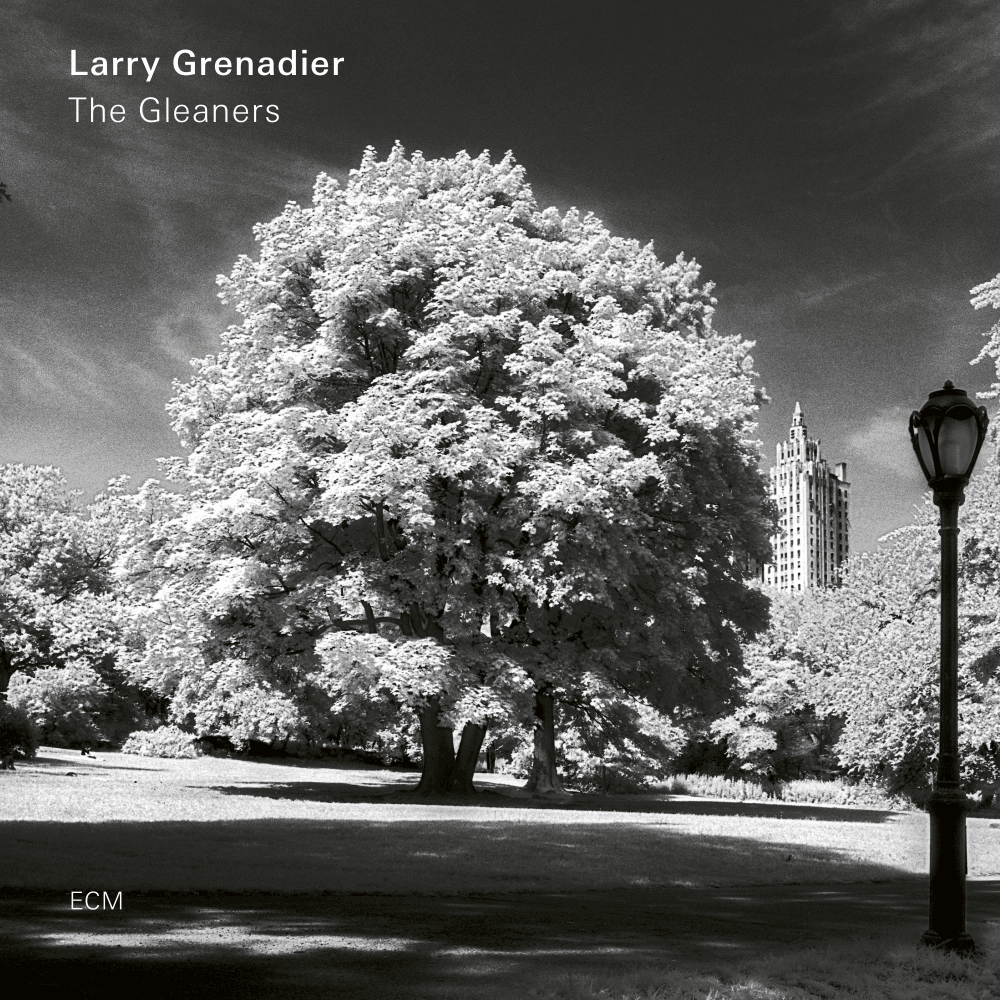 ECM Плоча Larry Grenadier: The Gleaners