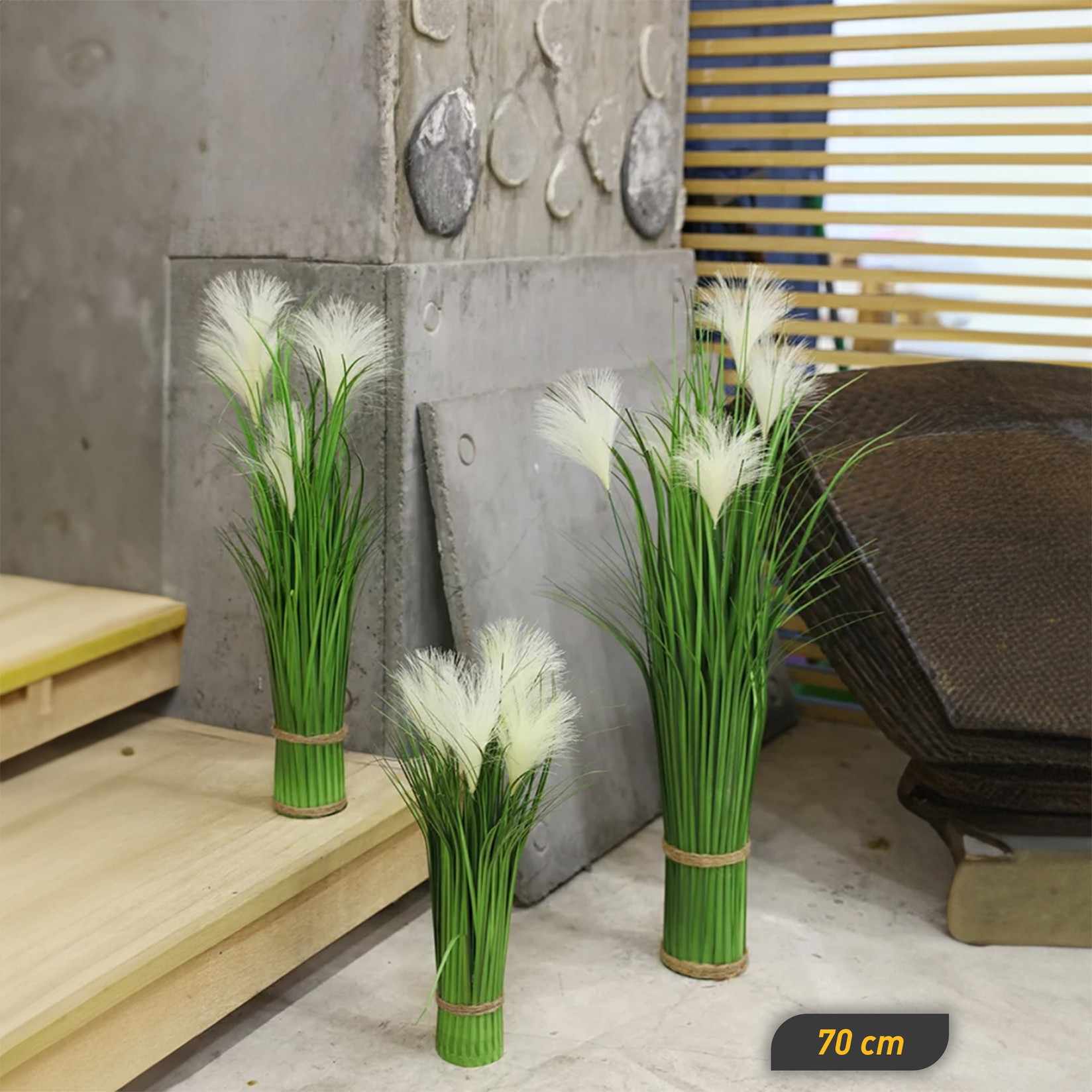 Декоративни растенија совршени за разувавување на сечиј дом