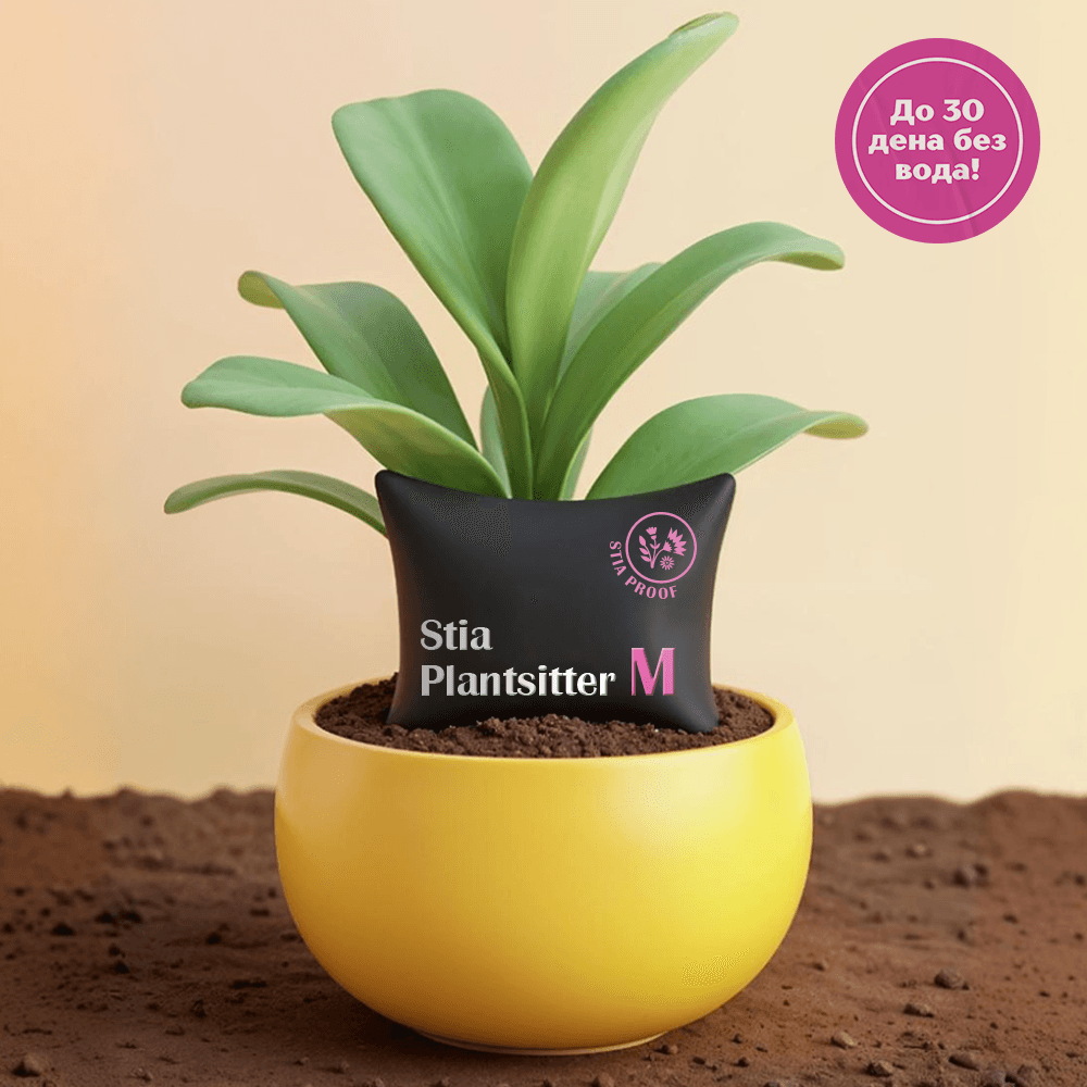 Стиа Плант Ситер М