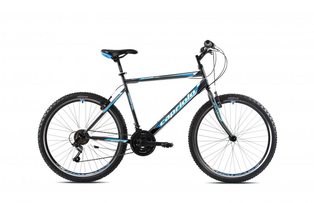 CAPRIOLO MTB велосипед Passion M 26''/18HT 923370-19, син